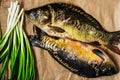 Fresh raw mirror carp fish on craft paper with a bunch of green scallion onions, top view Royalty Free Stock Photo