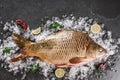 Fresh raw mirror carp fish with spices, lemon on ice over dark stone background. Creative layout made of fish, Seafood, top view Royalty Free Stock Photo