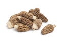 Fresh raw Morel mushrooms Royalty Free Stock Photo