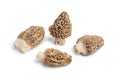 Fresh raw Morels mushrooms