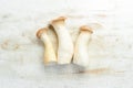 Fresh raw mushrooms, king oyster or eringi on white wooden background background. Mushrooms. Royalty Free Stock Photo