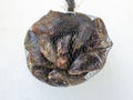 Fresh raw mussel  in the bag Royalty Free Stock Photo