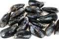 Fresh raw mussel isolated on white background Royalty Free Stock Photo
