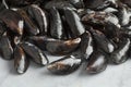 Fresh raw mussels Royalty Free Stock Photo
