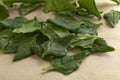 Fresh raw New Zealand spinach leaves on a cutting board