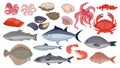 Fresh raw ocean and sea fish, tuna, salmon and herring. Cartoon seafood, shrimp, mussels, scallops, oysters and caviar