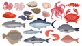 Fresh raw ocean and sea fish, tuna, salmon and herring. Cartoon seafood, shrimp, mussels, scallops, oysters and caviar, shellfish