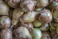 The Fresh raw onion Royalty Free Stock Photo