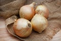 organic brown onions on the farm table Royalty Free Stock Photo