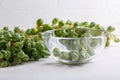 Fresh raw organic brussels sprouts stalks on white background Royalty Free Stock Photo