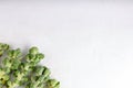 Fresh raw organic brussels sprouts stalks on white background. Top view, flat lay, copy space Royalty Free Stock Photo