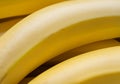 fresh Raw Organic Bunch of Bananas