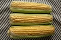 Fresh Raw Organic Corn on the Cob in the Husk, top view Royalty Free Stock Photo