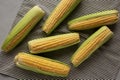 Fresh Raw Organic Corn on the Cob in the Husk, top view Royalty Free Stock Photo