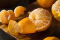 Fresh Raw Organic Mandarin Oranges Royalty Free Stock Photo