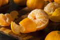 Fresh Raw Organic Mandarin Oranges Royalty Free Stock Photo