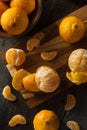 Fresh Raw Organic Mandarin Oranges Royalty Free Stock Photo