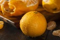 Fresh Raw Organic Mandarin Oranges Royalty Free Stock Photo