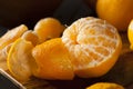 Fresh Raw Organic Mandarin Oranges Royalty Free Stock Photo