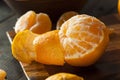 Fresh Raw Organic Mandarin Oranges Royalty Free Stock Photo