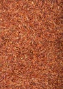 Fresh raw organic red rice on white background. Healthy food. Macro texture Royalty Free Stock Photo