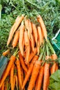 Fresh raw organic uncooked carrot vegetables for sale at farmers market. Vegan food and healthy nutrition concept.Top view Royalty Free Stock Photo