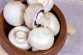 Fresh raw organic white champignon mushrooms in round wooden bowl on table background. Royalty Free Stock Photo