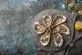 Fresh raw oysters on gray plate served with lemon, red onion and wine vinegar Royalty Free Stock Photo