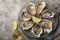 Fresh raw oysters on gray plate served with lemon and white wine Royalty Free Stock Photo