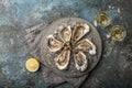 Fresh raw oysters on gray plate served with lemon and white wine Royalty Free Stock Photo