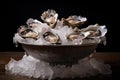 Fresh Raw oysters on ice platter. Generate ai Royalty Free Stock Photo