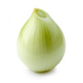 fresh raw peeled onion