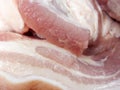 Fresh raw pork Royalty Free Stock Photo