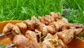 Fresh raw pork meat strung on a skewer for cooking on coals, on a barbecue grill. Summer family picnic, meat preparation Royalty Free Stock Photo