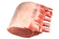 Fresh raw pork rib Royalty Free Stock Photo