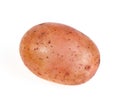 Fresh raw potato isolated on white background Royalty Free Stock Photo