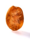 Fresh raw potato with little bit mud stands on white Royalty Free Stock Photo