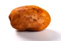 Raw potato with little bit mud on white background Royalty Free Stock Photo