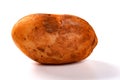 Fresh raw potato with little bit mud on white Royalty Free Stock Photo