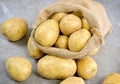 Fresh raw potatoes in a burlap sack Royalty Free Stock Photo