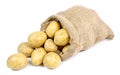 Fresh raw potatoes in a burlap sack Royalty Free Stock Photo