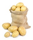 Fresh raw potatoes in a burlap sack Royalty Free Stock Photo