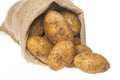 A fresh raw potatoes in a sack Royalty Free Stock Photo