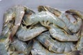 Fresh raw prawn, shrimp, seafood Royalty Free Stock Photo