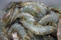 Fresh raw prawn, shrimp, seafood Royalty Free Stock Photo