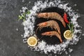 Fresh raw prawns or big shrimps with spices and ice on slate stone on dark stone background. Seafood, top view, flat lay, Royalty Free Stock Photo