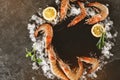 Fresh raw prawns or big shrimps with spices and ice on slate stone on dark stone background. Seafood, top view, flat lay Royalty Free Stock Photo