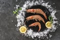 Fresh raw prawns or big shrimps with spices and ice on slate stone on dark stone background. Seafood, top view, flat lay Royalty Free Stock Photo