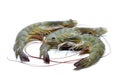 Fresh raw prawns Royalty Free Stock Photo