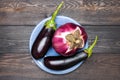 Fresh raw Purple Eggplant on a blue plate on gray wooden background. Top view, blank space.Recipes from Eggplant Flat lay Top view